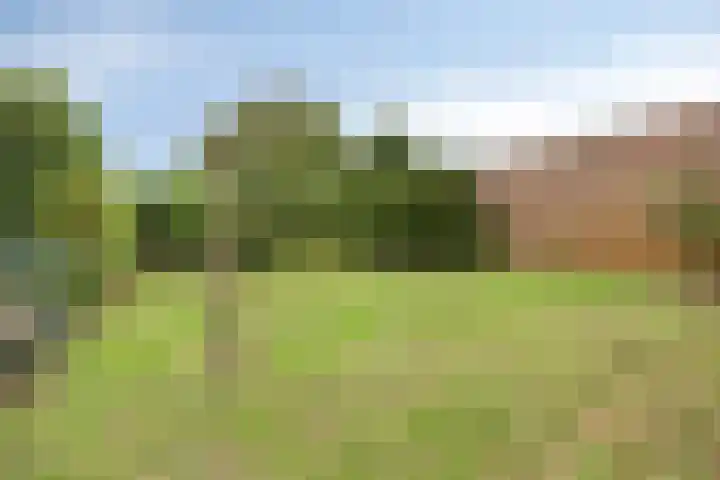 Laarweg 17 Aarle-Rixtel thumbnail 41
