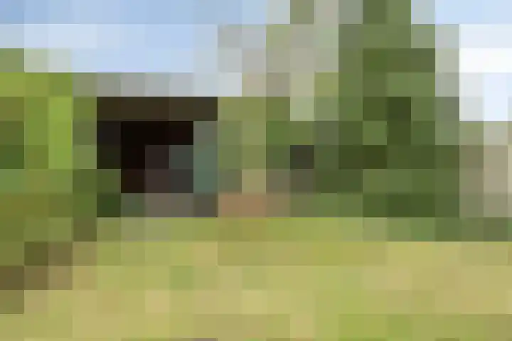 Laarweg 17 Aarle-Rixtel thumbnail 42