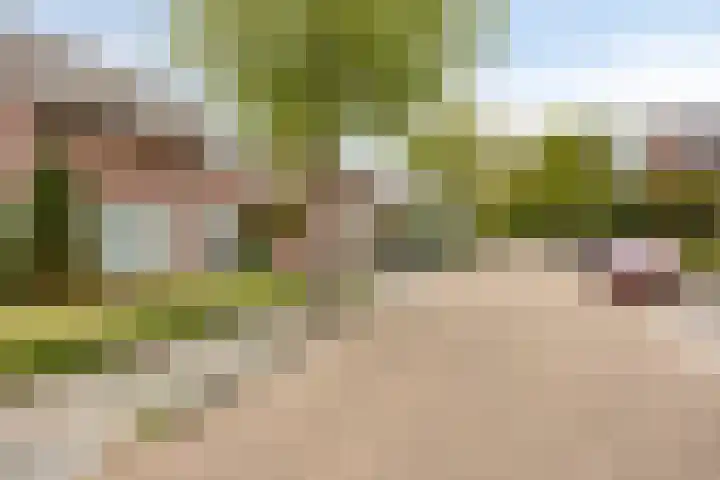 Laarweg 17 Aarle-Rixtel thumbnail 43