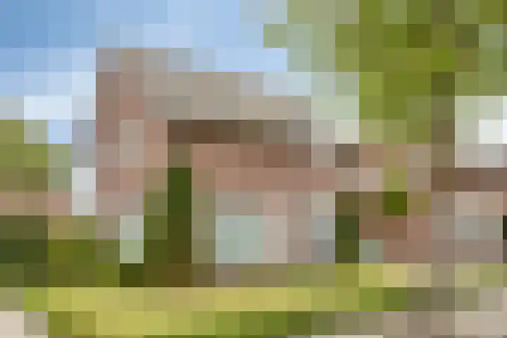 Laarweg 17 Aarle-Rixtel thumbnail 5