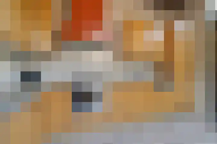 Laarweg 17 Velp thumbnail 12