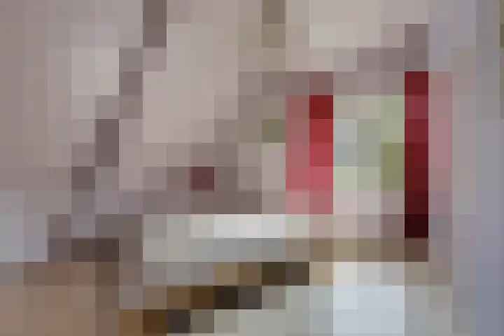 Laarweg 17 Velp thumbnail 18