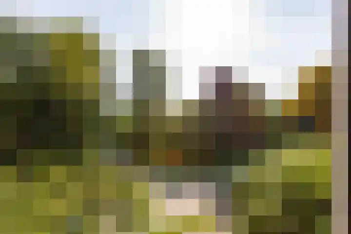 Laarweg 17 Velp thumbnail 19