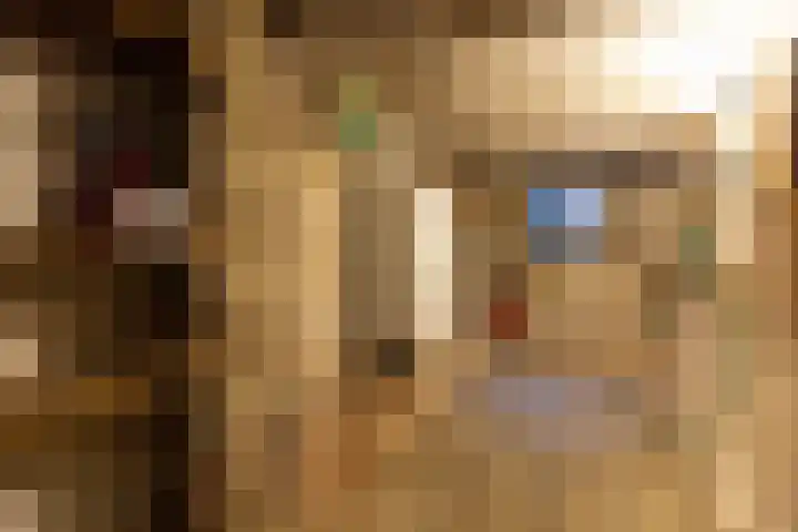 Laarweg 17 Velp thumbnail 23