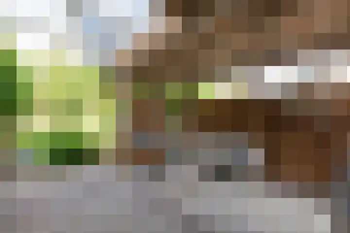 Laarweg 17 Velp thumbnail 24