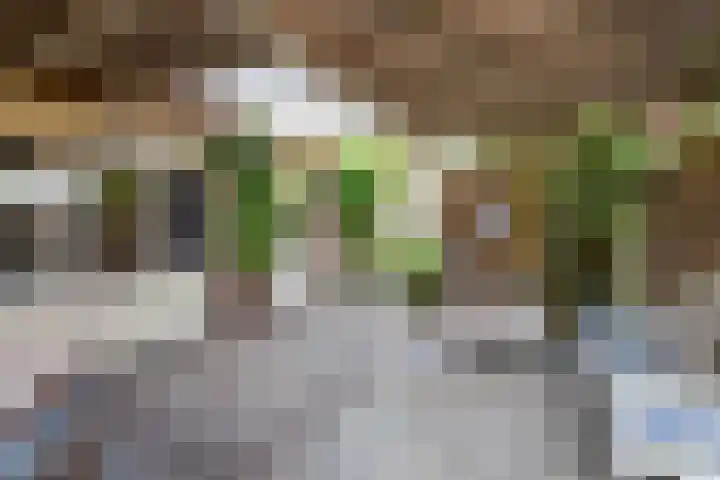 Laarweg 17 Velp thumbnail 25