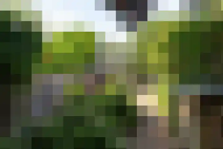 Laarweg 17 Velp thumbnail 26