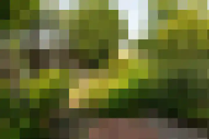 Laarweg 17 Velp thumbnail 27