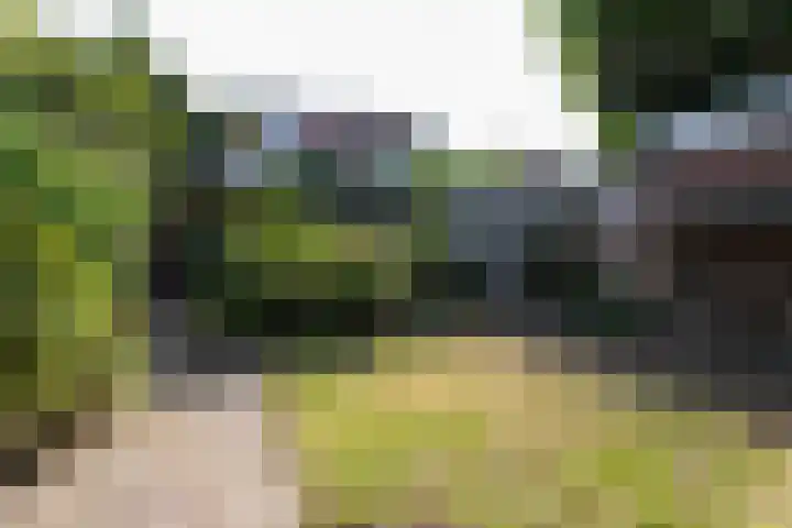 Laarweg 17 Velp thumbnail 28