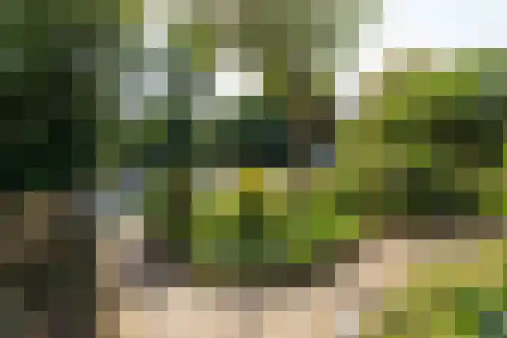 Laarweg 17 Velp thumbnail 29
