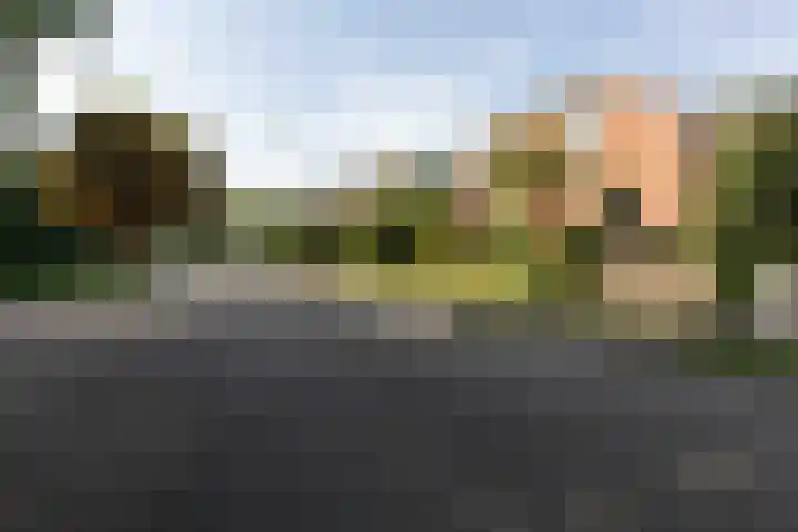 Laarweg 17 Velp thumbnail 31