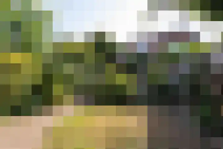Laarweg 17 Velp thumbnail 4