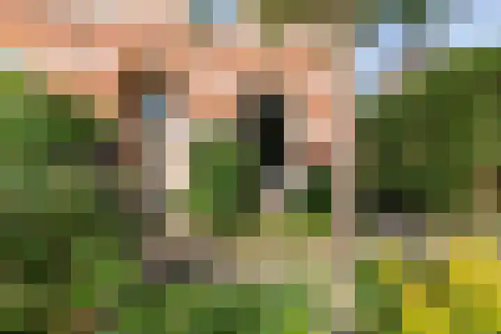 Laarweg 17 Velp thumbnail 5