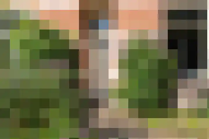 Laarweg 17 Velp thumbnail 6