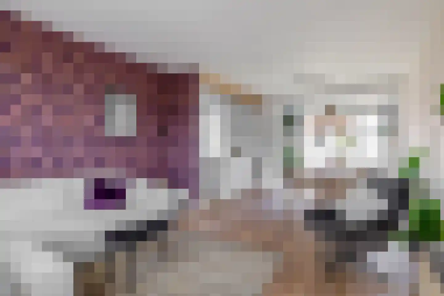 Laarweg 20 Aarle-Rixtel thumbnail 14