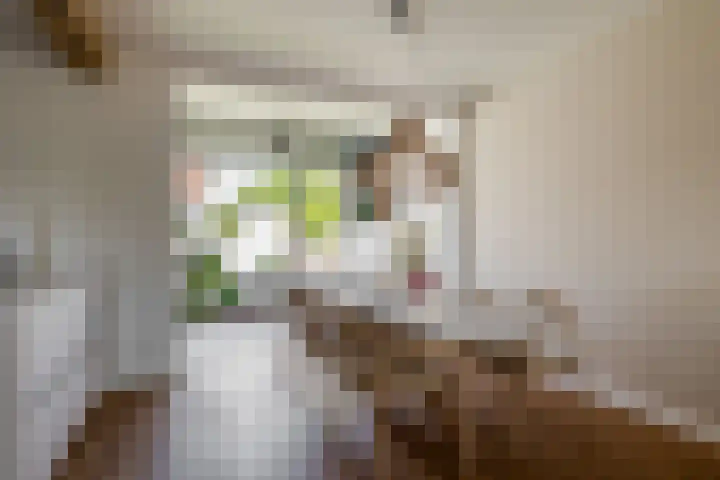 Laarweg 20 Aarle-Rixtel thumbnail 16
