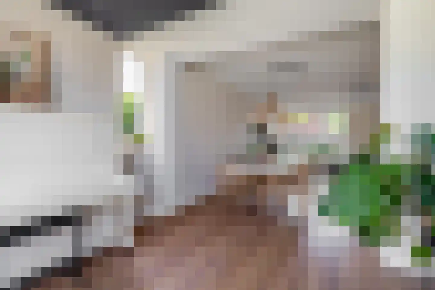 Laarweg 20 Aarle-Rixtel thumbnail 17