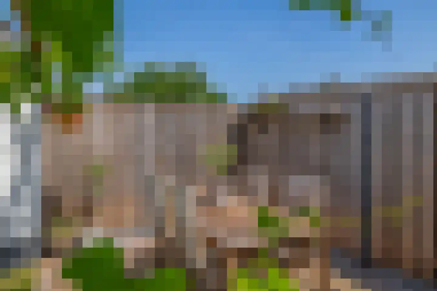 Laarweg 20 Aarle-Rixtel thumbnail 39