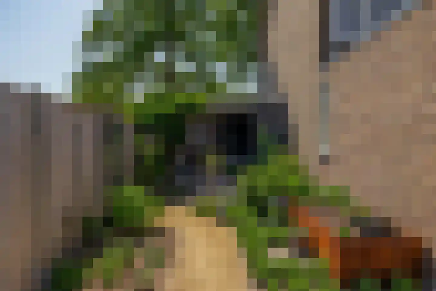 Laarweg 20 Aarle-Rixtel thumbnail 41