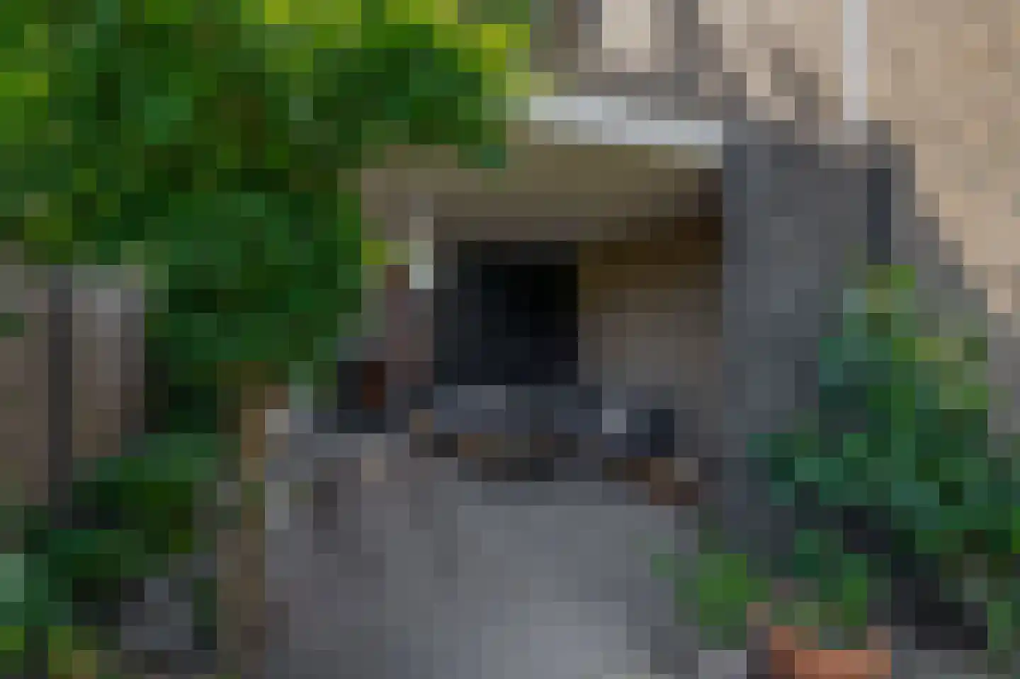 Laarweg 20 Aarle-Rixtel thumbnail 42