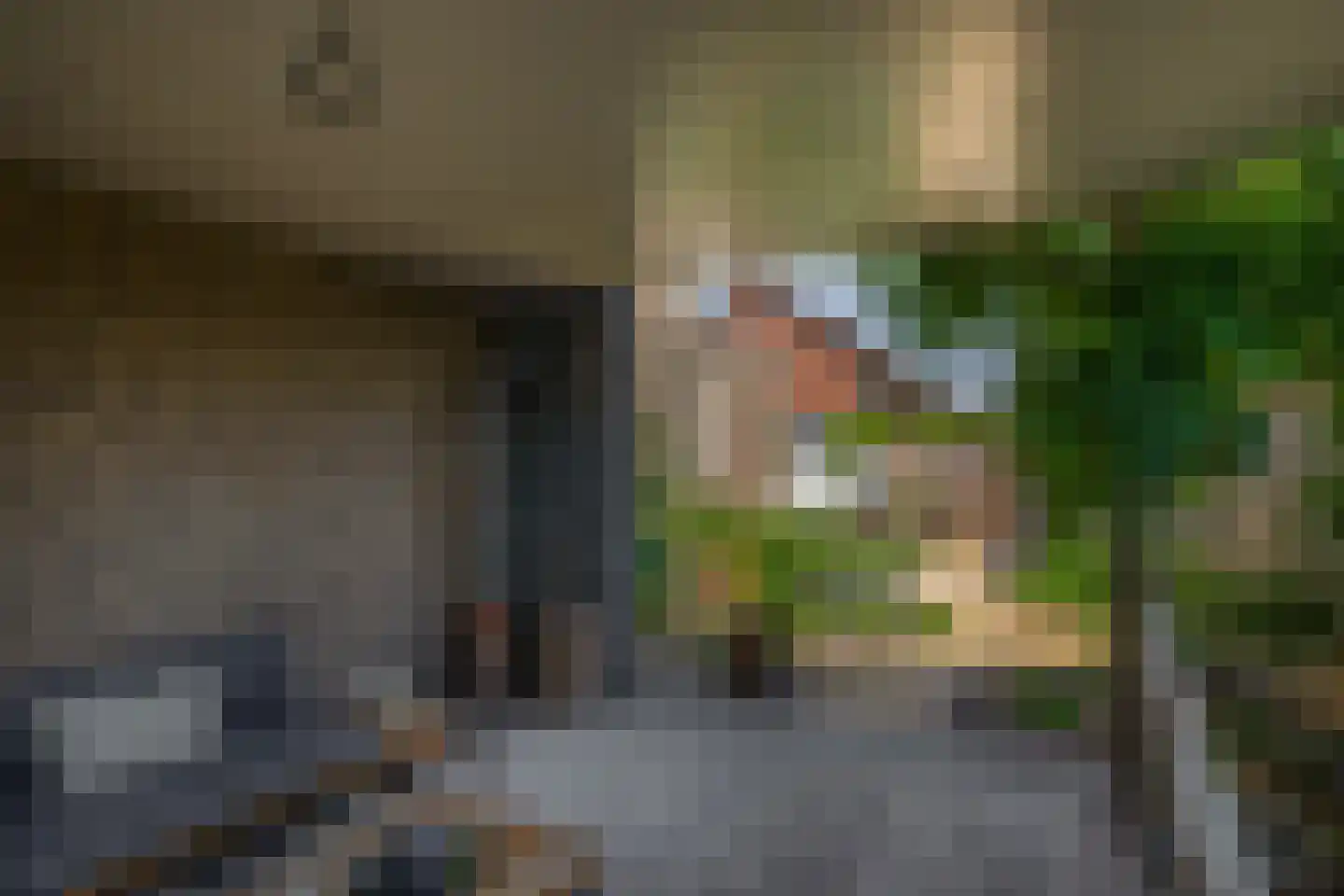 Laarweg 20 Aarle-Rixtel thumbnail 43