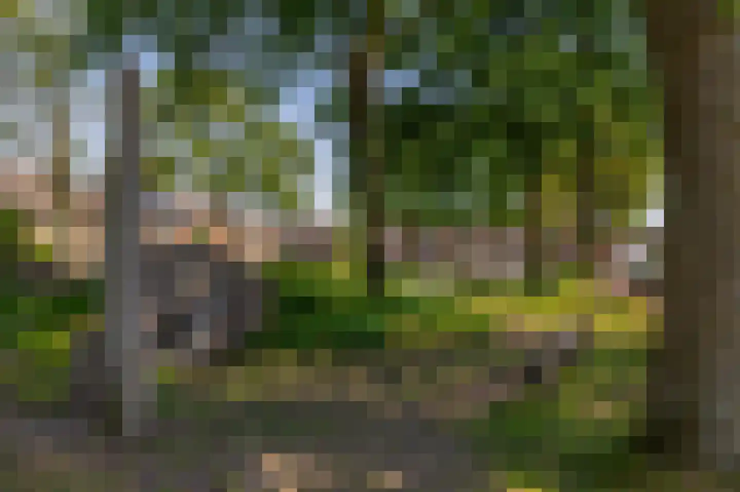 Laarweg 20 Aarle-Rixtel thumbnail 51