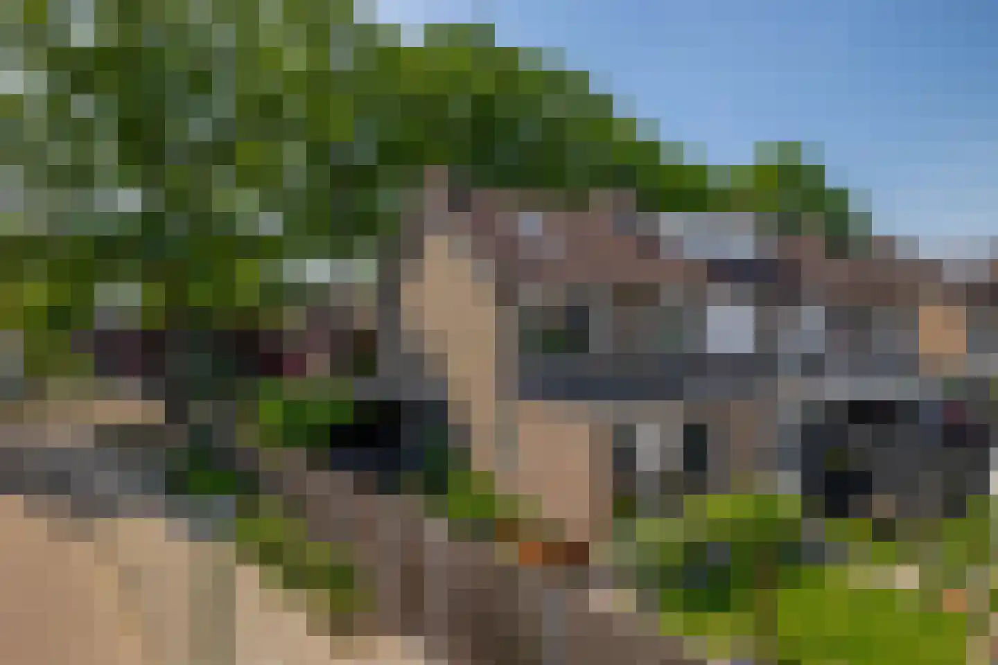 Laarweg 20 Aarle-Rixtel thumbnail 6
