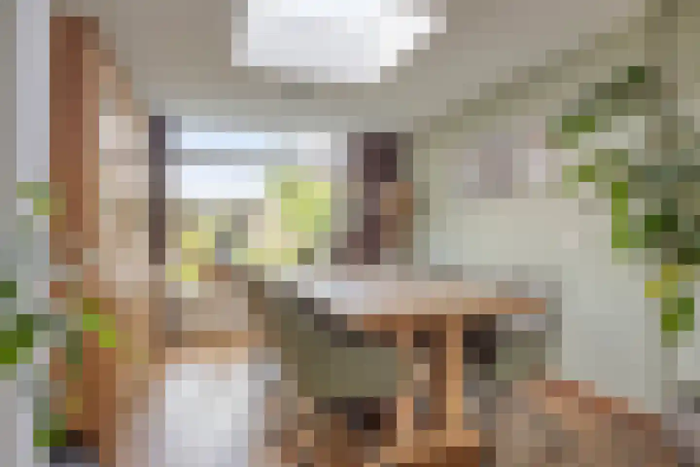 Laarweg 24 Aarle-Rixtel thumbnail 21