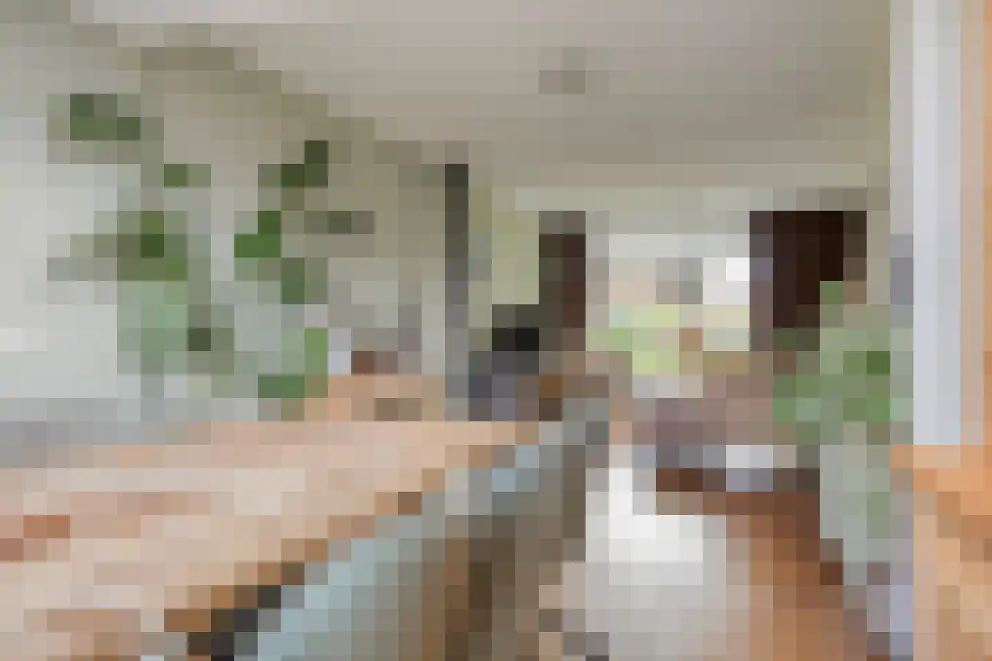 Laarweg 24 Aarle-Rixtel thumbnail 23
