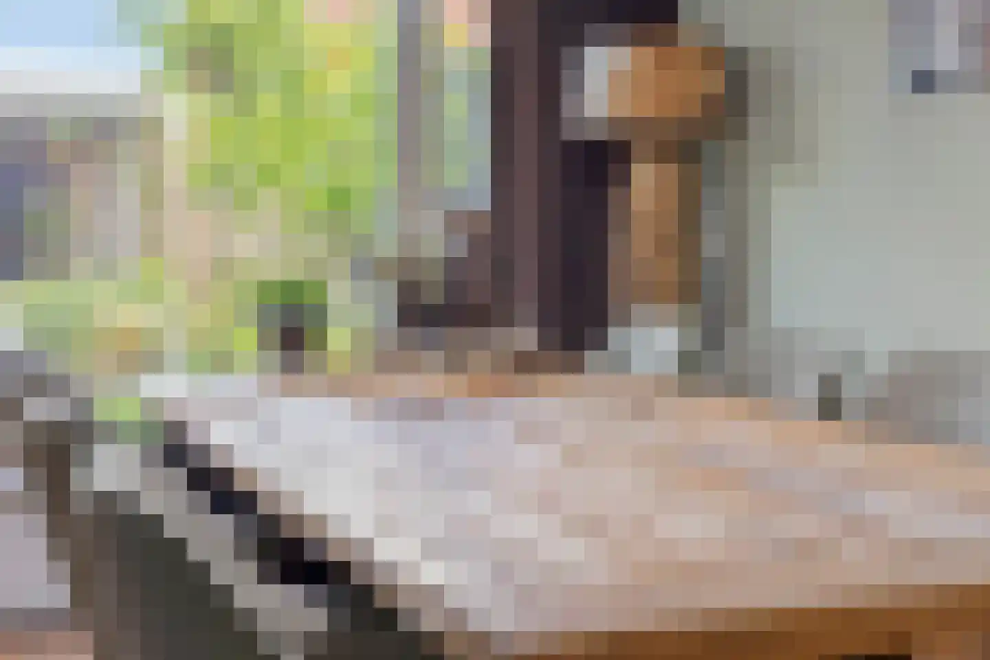 Laarweg 24 Aarle-Rixtel thumbnail 24