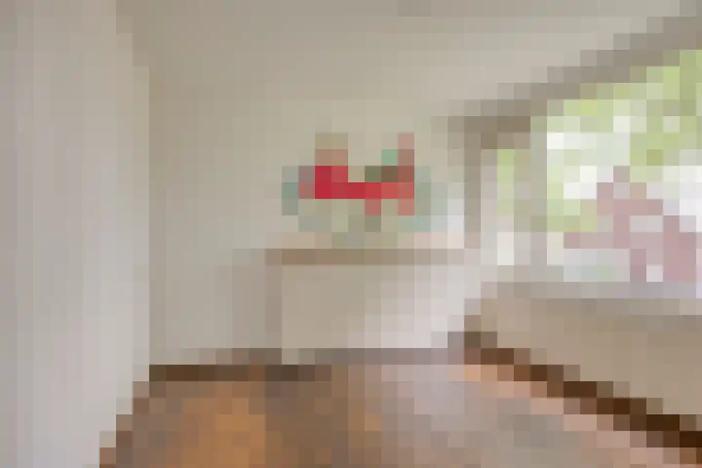 Laarweg 24 Aarle-Rixtel thumbnail 32