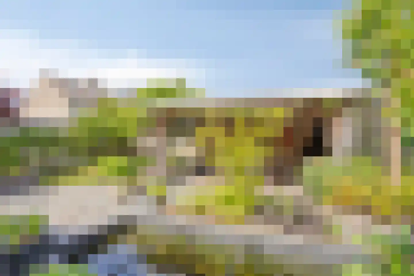 Laarweg 24 Aarle-Rixtel thumbnail 43