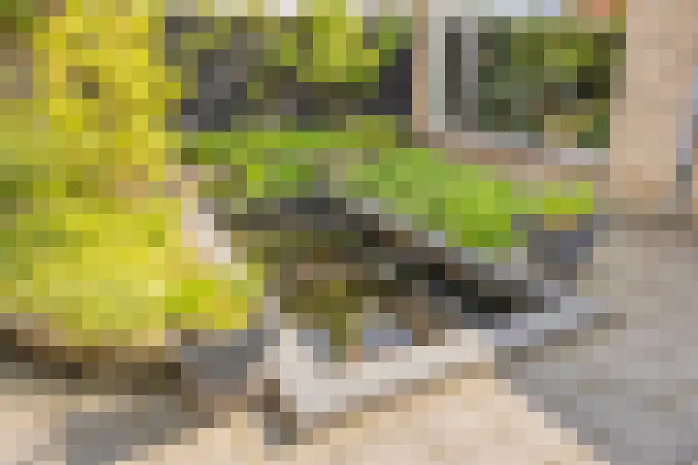 Laarweg 24 Aarle-Rixtel thumbnail 46