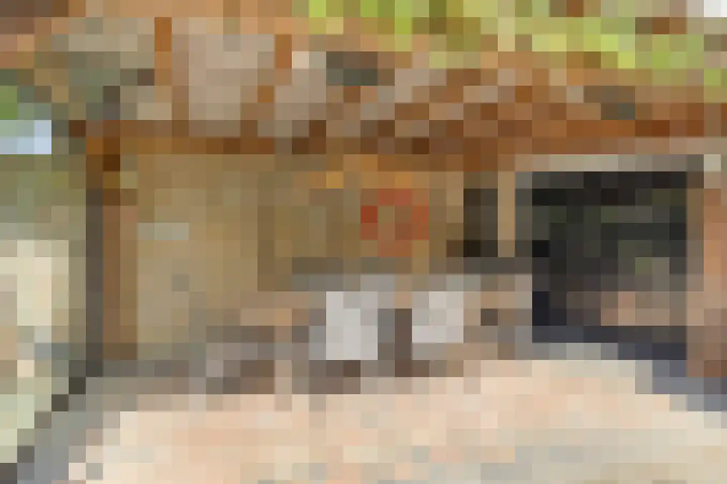 Laarweg 24 Aarle-Rixtel thumbnail 47