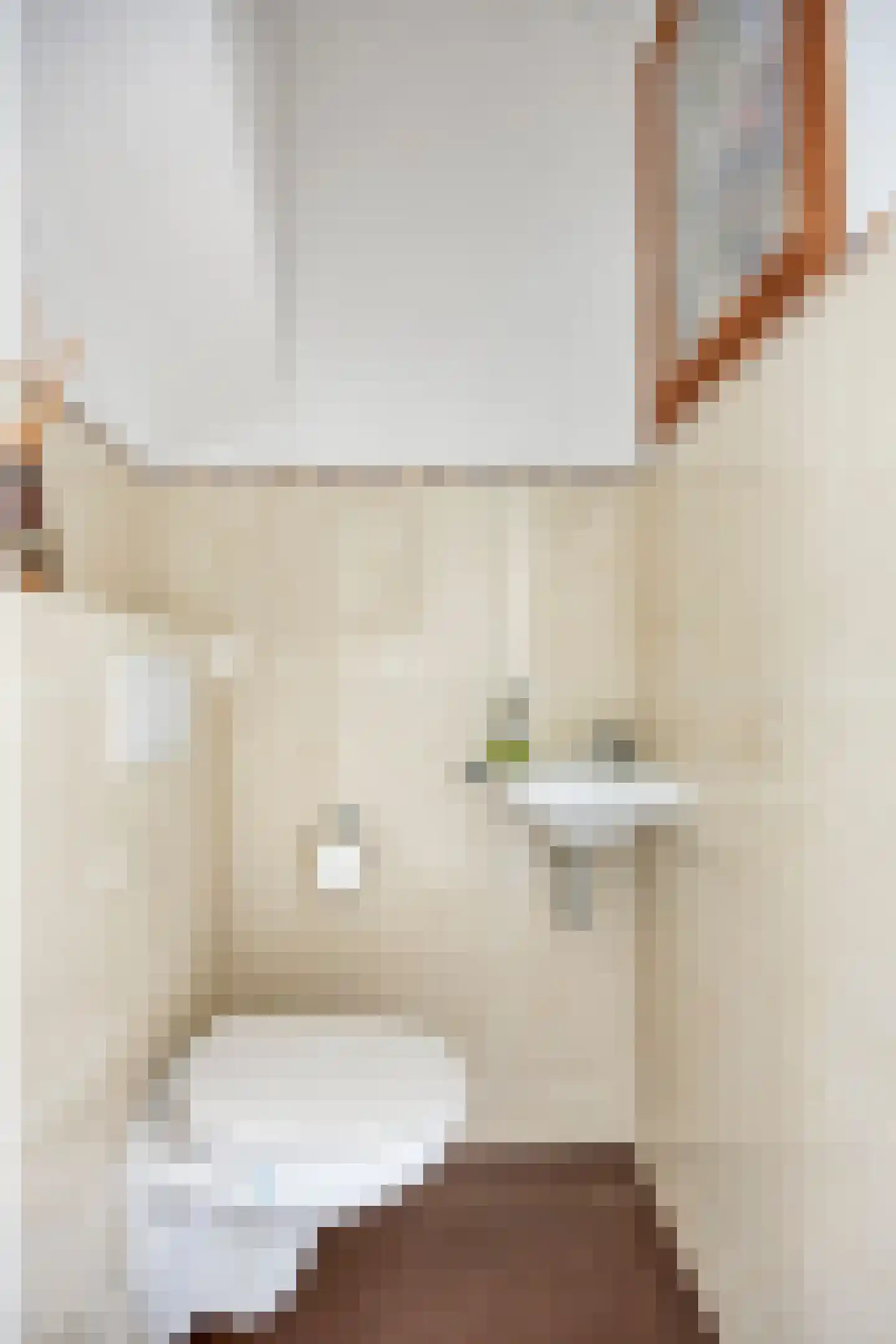 Laarweg 24 Aarle-Rixtel thumbnail 7