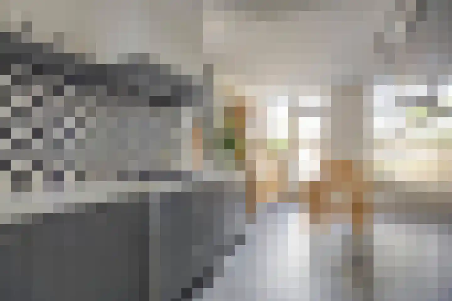 Laarweg 24 Aarle-Rixtel thumbnail 9