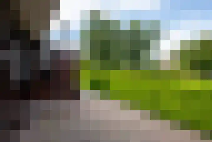 Laarweg 27 B Harskamp thumbnail 21