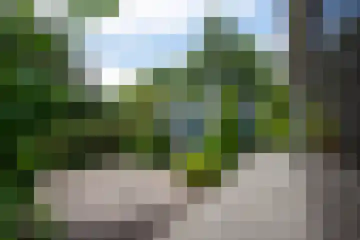 Laarweg 27 B Harskamp thumbnail 24