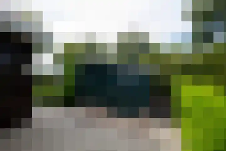 Laarweg 27 B Harskamp thumbnail 25