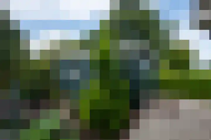 Laarweg 27 B Harskamp thumbnail 26