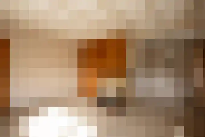 Laarweg 27 B Harskamp thumbnail 6