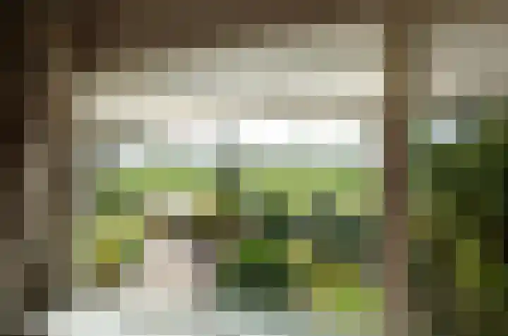 Laarweg 27 B Harskamp thumbnail 8