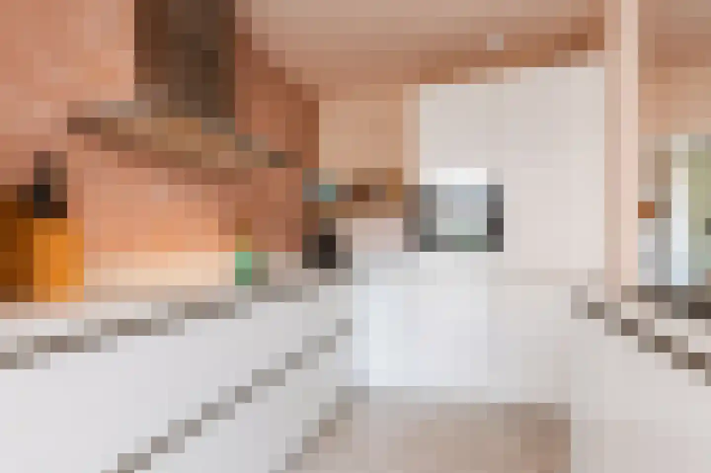 Laarweg 29 Velp thumbnail 21