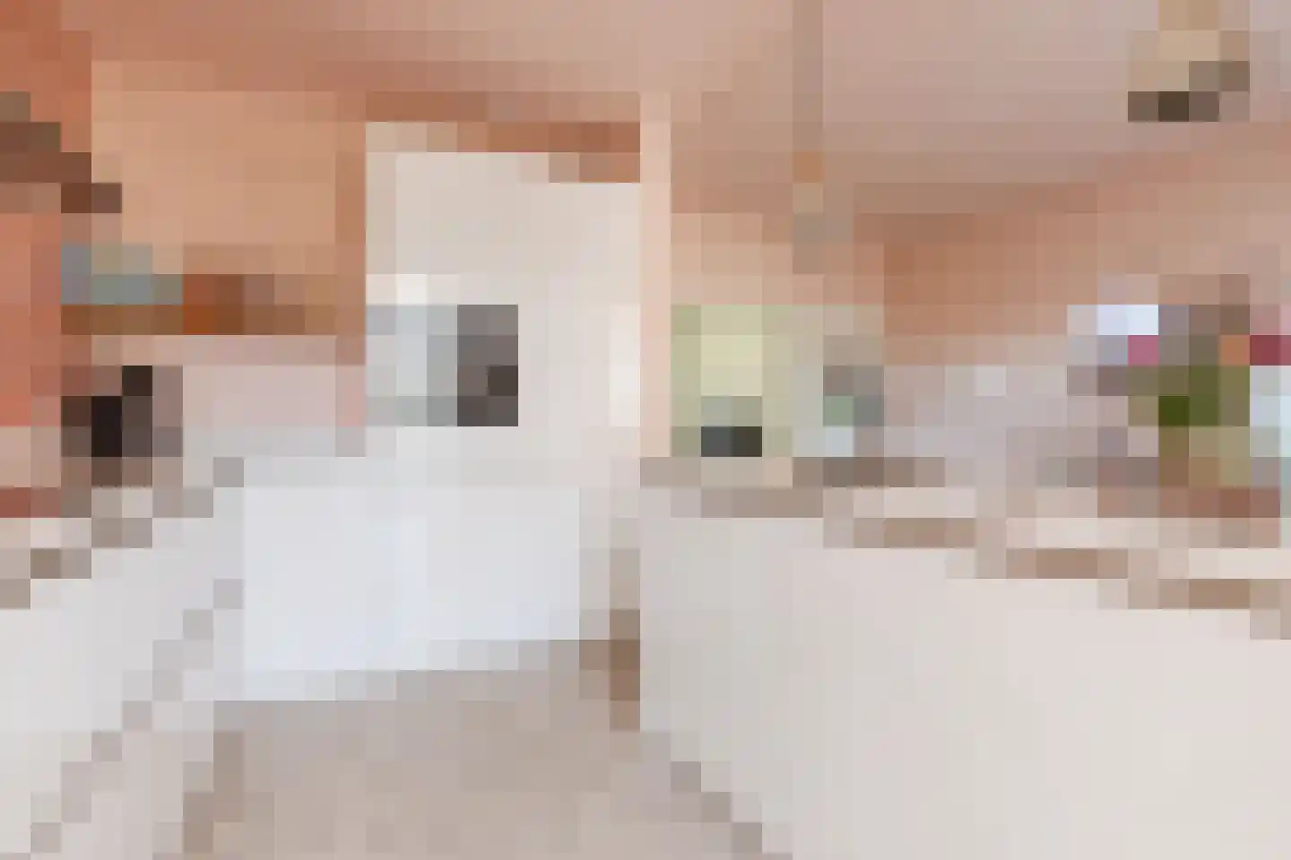 Laarweg 29 Velp thumbnail 22