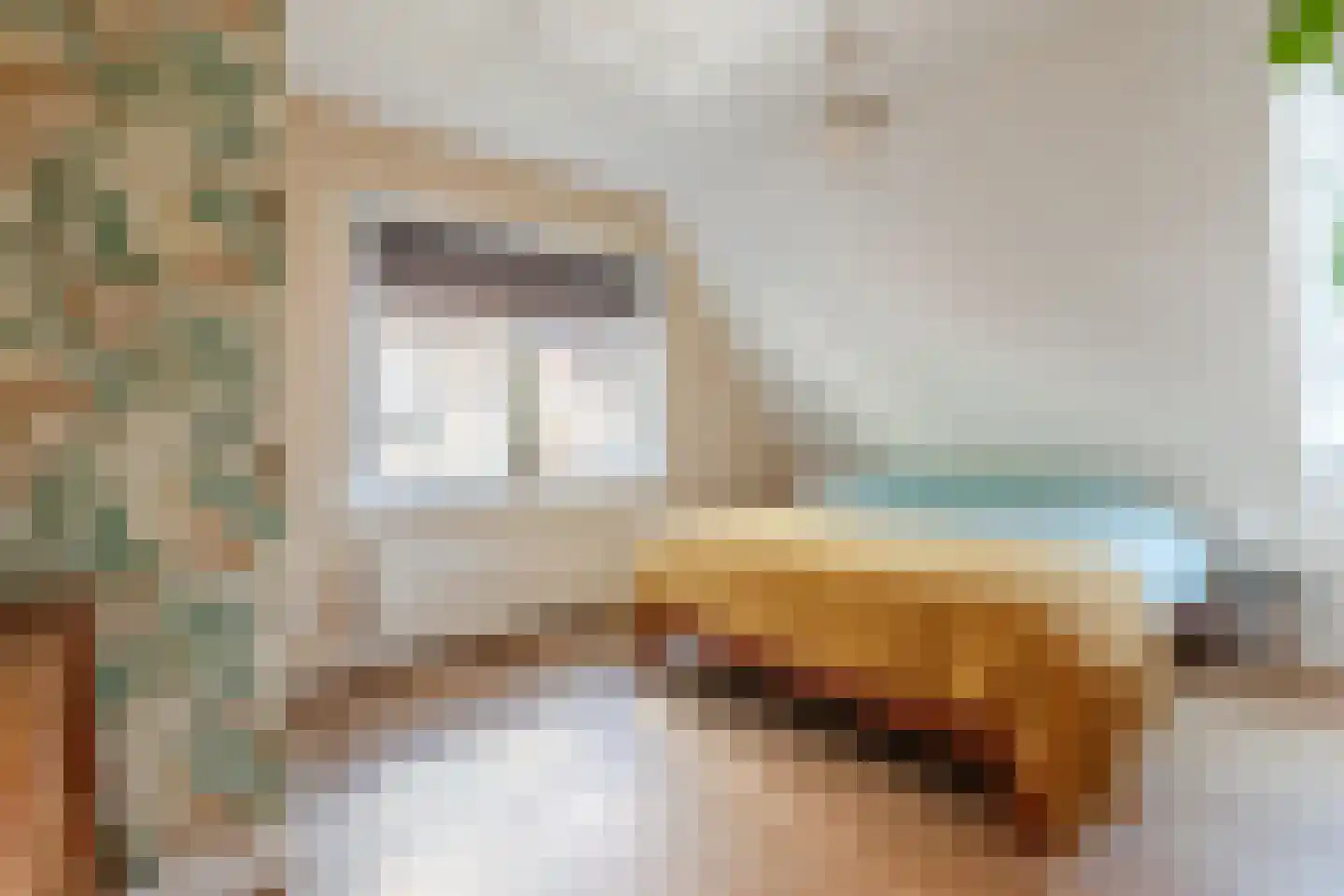 Laarweg 29 Velp thumbnail 30
