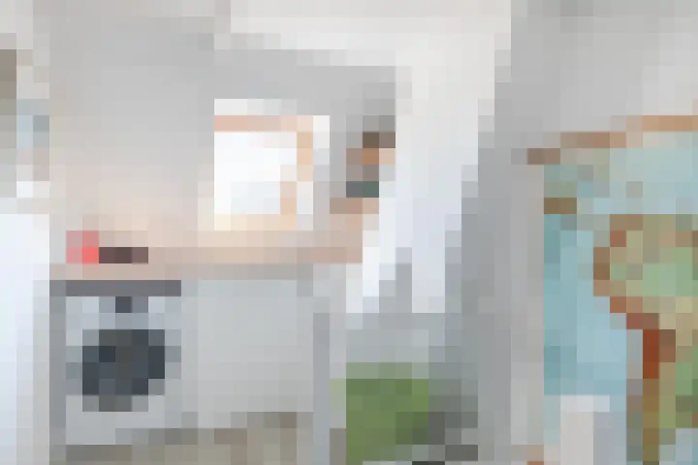 Laarweg 29 Velp thumbnail 38
