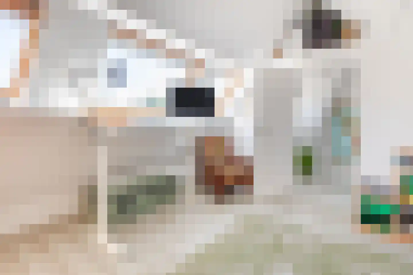 Laarweg 29 Velp thumbnail 42