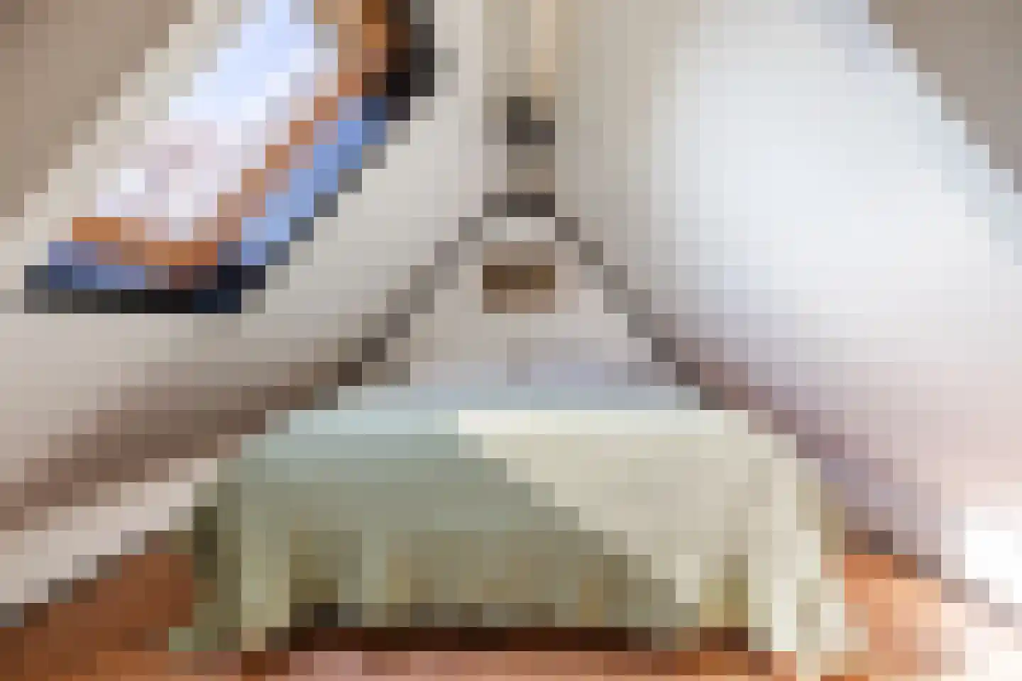 Laarweg 29 Velp thumbnail 48