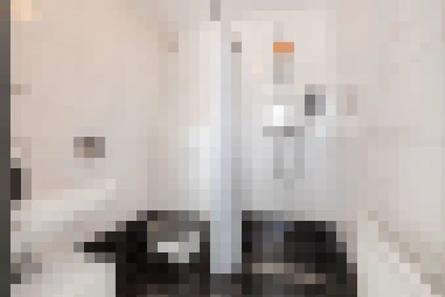 Laarweg 29 Velp thumbnail 49