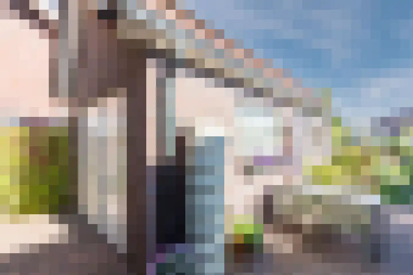 Laarweg 29 Velp thumbnail 5